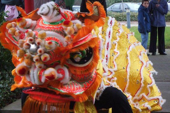 lion-dance-during-chinese.jpg